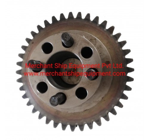 DRIVE GEAR WITH GUIDE RING WITH COUPLING
